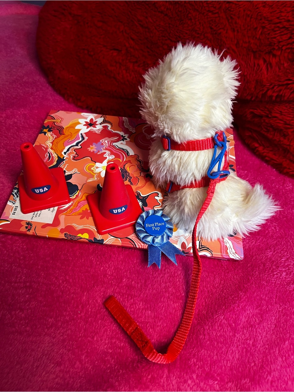 Coconut’s Agility Set 2004-2005 American Girl Doll